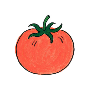 Fresh ripe tomato with green stem vegetable illustration ingredient vitamins isolated as PNG