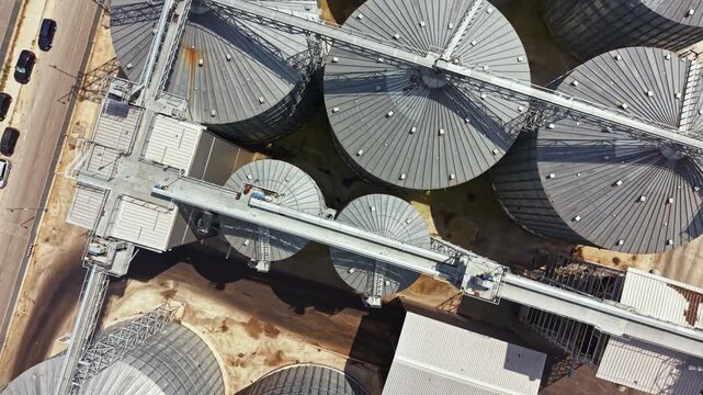 Silos stand in a row at a grain storage facility. Transport equipment connects the silos for moving grain. The scene shows a clear sky and sunlight. Vehicles are parked nearby.