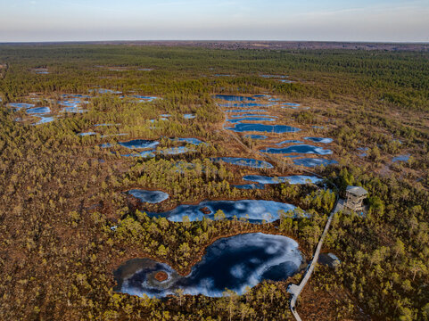 Aerial drone photo of Viru Bog (Viru Raba) in Lahemaa National Park, Estonia, showcasing the iconic Viru observation tower, winding wooden boardwalk, partially frozen bog pools, pine forest.