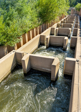 Diglis Fish Pass water chanel,guiding migrating fish past the adjoining river weir,Worcester,England,UK.