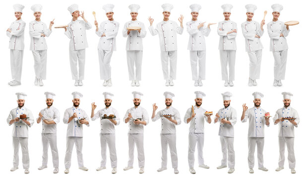 Head chef. Collection of portraits on white background