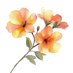 Naklejka premium watercolor of Wallflower Branch vector painting, isolated on a white background.