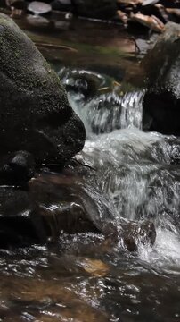 Bubbling Brook