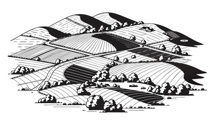 Obraz premium Very beautiful black and white realistic vector illustration of the CENTRAL RUSSIA FARMLAND featuring agricultural fields, rolling hills, winding roads and detailed engraved rural textures, isolated 