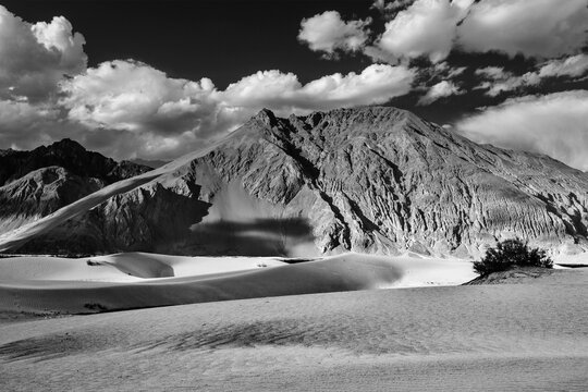 Sand dunes in Himalayas. Hunder, Nubra valley, Ladakh, India in Black and white version