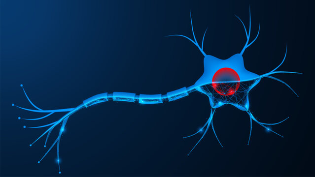 A neuron that combines biological and digital nature. A process in which a natural nerve cell integrates with a virtual model for information processing and cognitive computing.