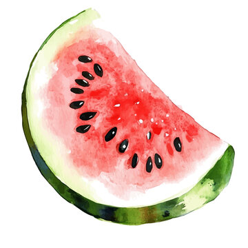 watercolor of Watermelon Slice draw illustration, isolated on a white background.