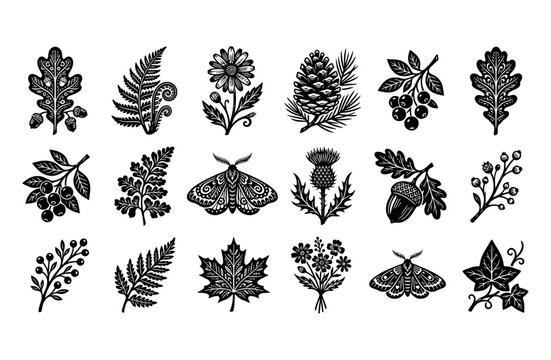 Vintage forest botanical vector set, 18 black woodcut nature icons, rustic linocut leaves and moth illustrations, hand drawn woodland flora elements