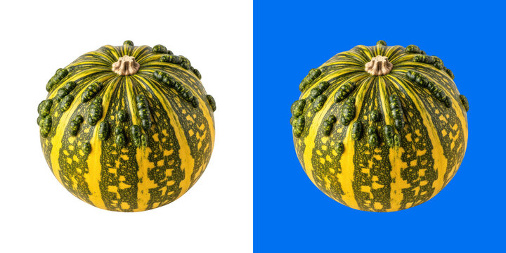 Striped bumpy yellow and green pumpkin squash vegetable harvest food item transparent png