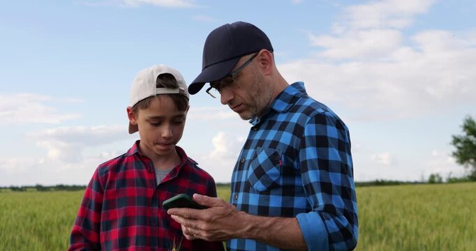 Father teaches son to evaluate wheat crop using smartphone and field observation. Family learning combines practical farming experience with digital technology for future agriculture.