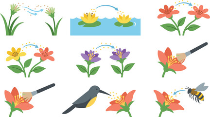Fototapeta premium Flower Pollination Methods with Wind Water Insects Birds and Manual Pollen Transfer
