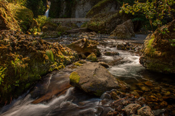 waterfall in the forest © steve