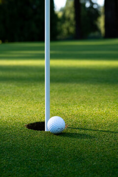 White golf ball tap in close to hole and pin on putting green, early morning sunny summer day on the golf course, relaxing recreational sport

