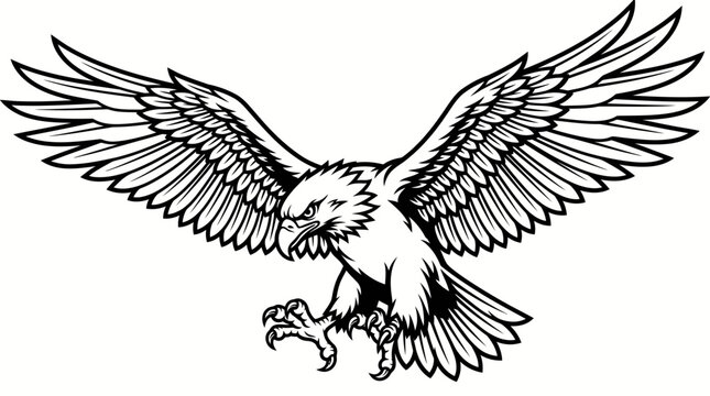 Majestic Eagle Bird of Prey with Wide Open Wings, Fierce Predator Descending, Graphic Illustration, Black and White Outline