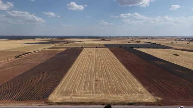 Aerial view of harvested wheat fields in spain
