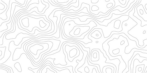 Topographic contour lines on a white background representing elevation changes and geographic data © STEAM