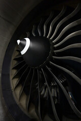 GE90-115 fan © Dennis