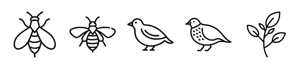 Fototapeta premium Nature icon set with bees and birds. Hand drawn outline illustrations for organic design.