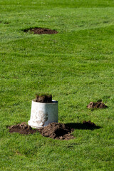 Groundskeeping and landscaping maintenance, mole pest problem with dirt piles in lush green lawn, rodent trap under upside down white bucket, sunny summer day  © knelson20