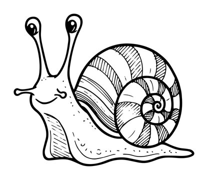 Cute snail illustration with big eyes and spiral shell, cartoon garden mollusk line art vector for coloring or kid design