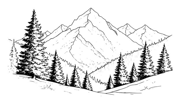 Mountain peaks with pine forest landscape, vintage engraving vector illustration of alpine wilderness and nature adventure