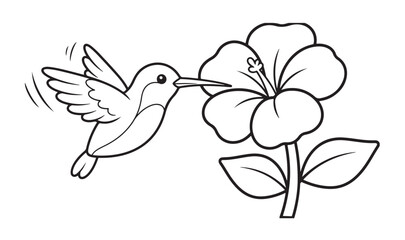 Fototapeta premium Cute hummingbird drinking nectar from hibiscus flower coloring page vector