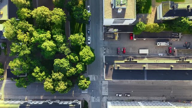 Following a street in a city from top down view with buildings, trees, cars, people and birds. 