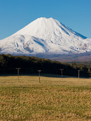 Fototapeta premium A stunning view of snow-covered Mount Ruapehu in Tongariro National Park, New Zealand, rising above rural pastures and utility poles.