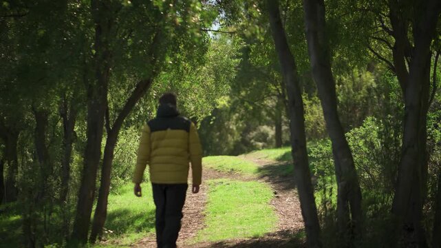 Man wearing a yellow puffer jacket walks along a dirt path surrounded by tall pine trees in a natural forest setting.