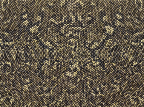 Close-up reptile skin texture with dense bead-like scales in brown, black and beige tones, forming a natural mottled pattern for wildlife, fashion and decorative backgrounds.