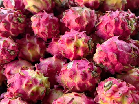 Fresh dragon fruit for sale, full frame pattern