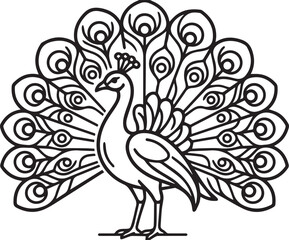 Fototapeta premium Elegant peacock illustration with detailed feather patterns. Graceful bird vector art for luxury branding and decorative design.
