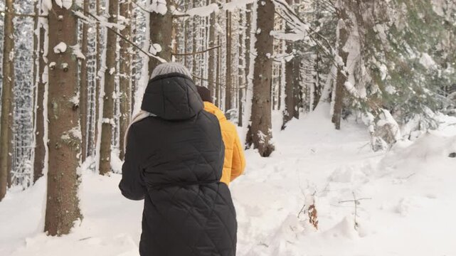 A pair explores a serene winter landscape, trekking through deep snow among tall pine trees. Their colorful outerwear contrasts with the white surroundings, creating a vibrant scene