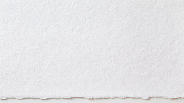 White Paper with Torn Deckle Edge