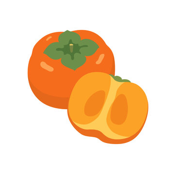 秋の味覚 柿の果実と断面のベクターイラスト