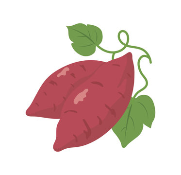 秋の味覚 さつまいものベクターイラスト