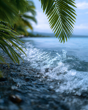 At the F&ecirc;te de la Musique Beach Fest in Tahiti, coconut leaves and ocean tides are in motion, and a large copy space is available.