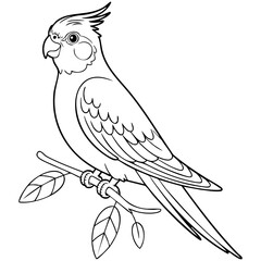 Cockatiel Coloring Page With Detailed Wings Crest And Simple Branch Illustration Isolated on a Transparent or White Background