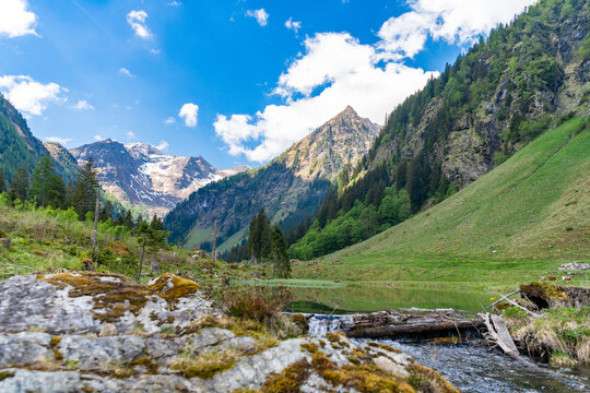 Wild creek flow. Waterfall river nature. Landscape with waterfall river cascade. Scenic nature river flow. Picturesque waterfall creek. Nature wildness. River flow cascade. Natural landscape