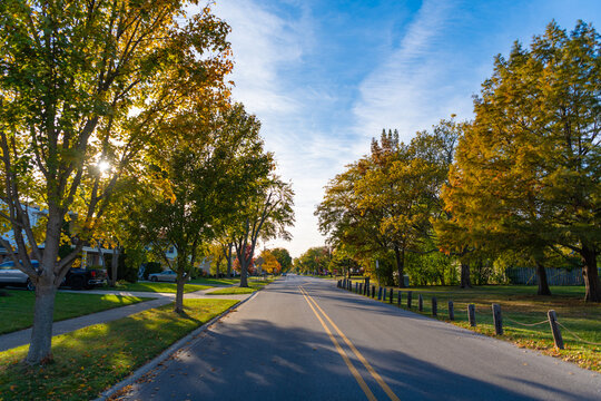 Landscape autumn nature. Red leaves on tree. Seasonal autumnal tree. Golden autumn. Autumn nature landscape. Fall leaves in park. Nature fall season. Fall season park. Autumn leaf natural foliage