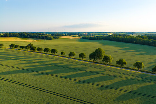 Aerial top view on green crop field. Nature environment. Green harvest in field. Summer green field. Agricultural aerial landscape. Green crop agricultural farm landscape. Harvesting and cultivation