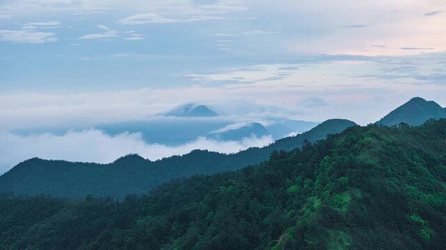 Beautiful scenery of bamboo forest in Ma'an, Xinyi, Maoming, Guangdong