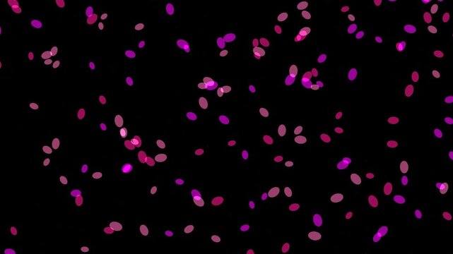 Procedural Animation of Cherry Blossom Petals