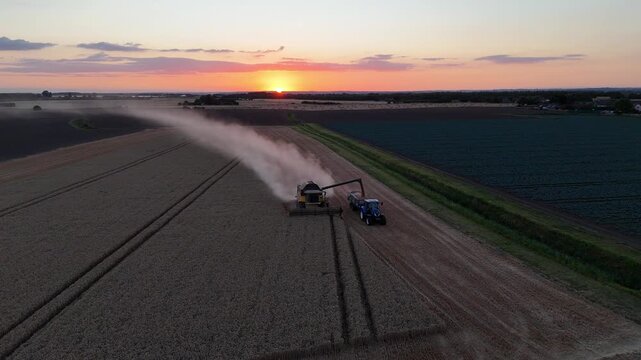 Golden sunset lights vast fields. Harvester moves through crop rows, releasing dust. Tractor follows, linking equipment. Workers unseen, focused on harvest. Ideal for agriculture, rural life
