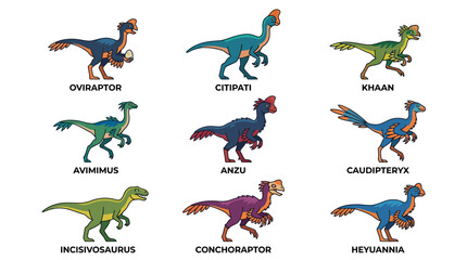 Fototapeta premium Educational raptor dinosaur illustrations including Oviraptor and Citipati species.