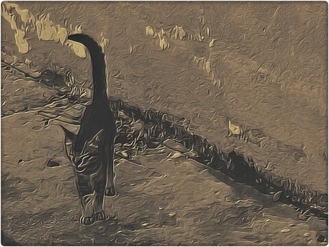 skeleton of an ancient cat