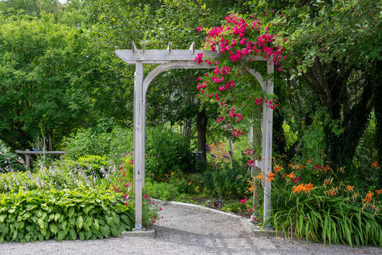 An outdoor wooden flat-top shaped archway or arbour surrounded by a lush green garden.  The park features birch trees, climbing red roses, orange lily flowers, and vibrant green shrubs in a garden.