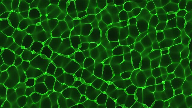 Bright colorful light particles in motion