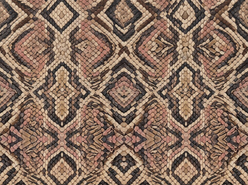 Close-up Gaboon viper skin texture with intricate beige, brown, black and muted pink scales, creating a striking natural reptile pattern for backgrounds and decorative design.