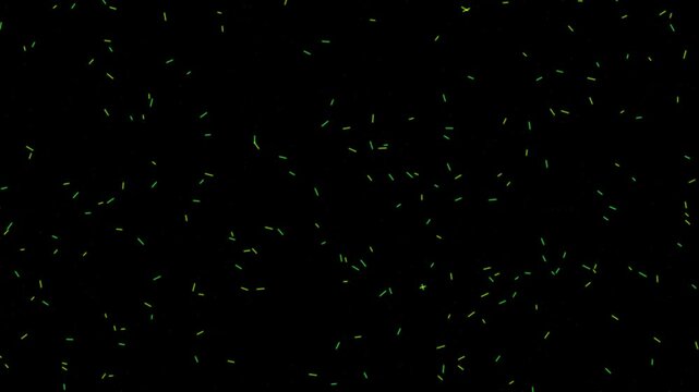Procedural motion of Microscopic Bacteria Drift